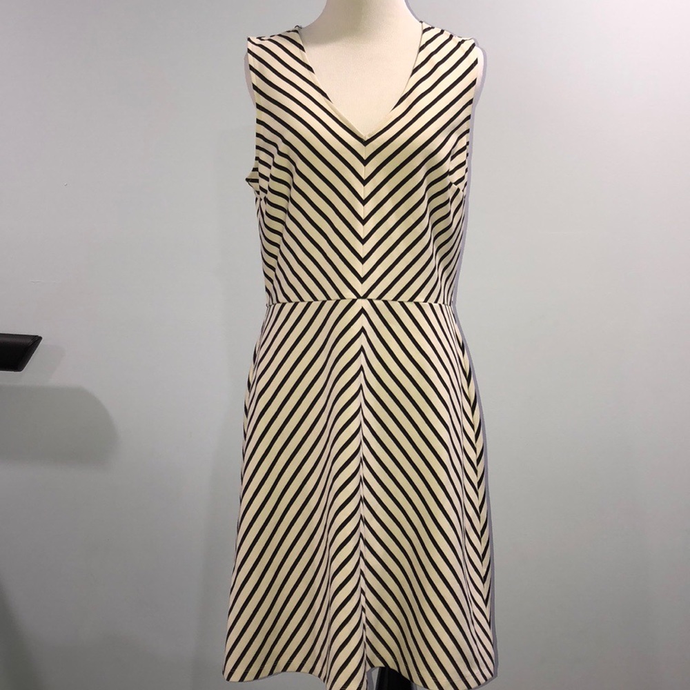 Ann Taylor LOFT dress